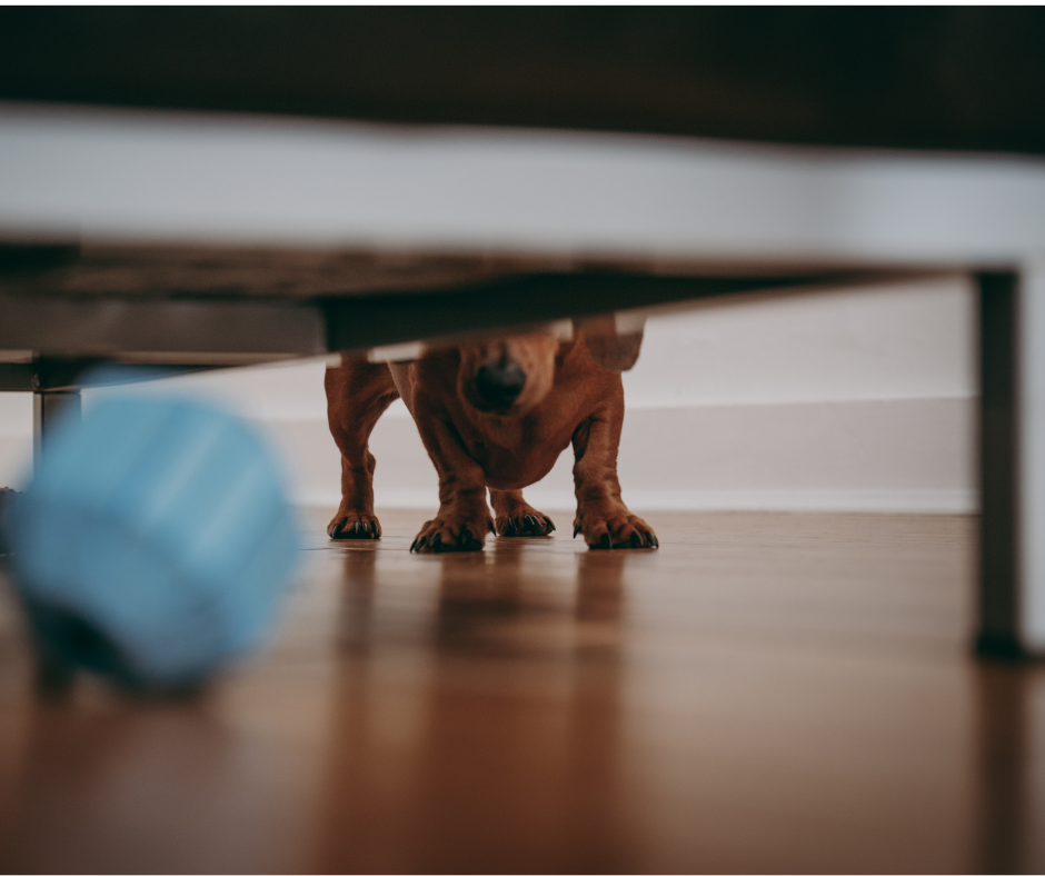 Under the Sofa